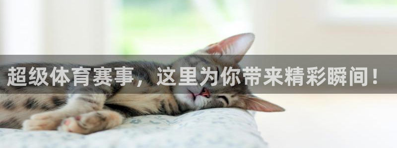 超级体育赛事，这里为你带来精彩瞬间！