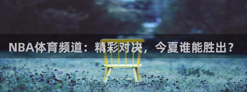 NBA体育频道：精彩对决，今夏谁能胜出？
