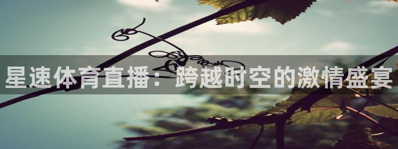 星速体育直播：跨越时空的激情盛宴