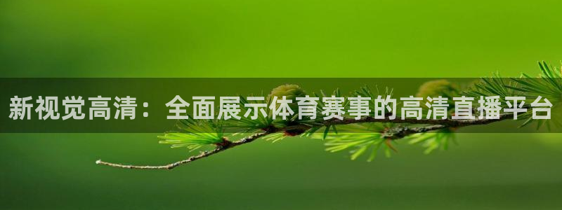 新视觉高清：全面展示体育赛事的高清直播平台