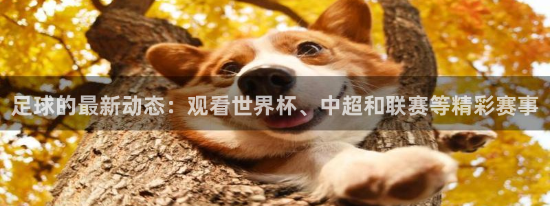 足球的最新动态：观看世界杯、中超和联赛等精彩赛事
