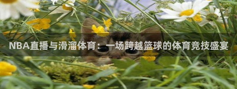 NBA直播与滑溜体育：一场跨越篮球的体育竞技盛宴