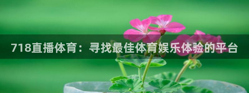 718直播体育：寻找最佳体育娱乐体验的平台