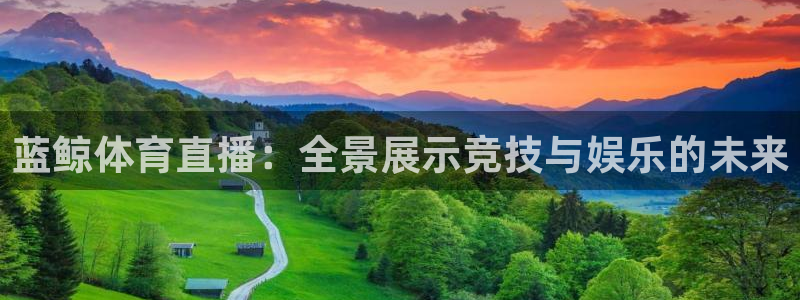 蓝鲸体育直播：全景展示竞技与娱乐的未来