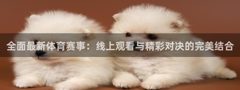 全面最新体育赛事：线上观看与精彩对决的完美结合