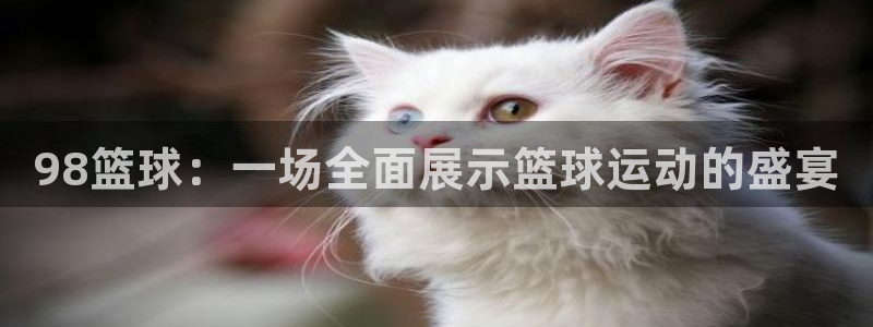 98篮球：一场全面展示篮球运动的盛宴
