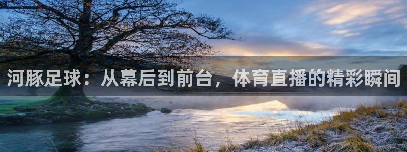 河豚足球：从幕后到前台，体育直播的精彩瞬间