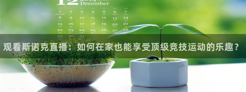 观看斯诺克直播：如何在家也能享受顶级竞技运动的乐趣？