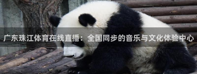 广东珠江体育在线直播：全国同步的音乐与文化体验中心