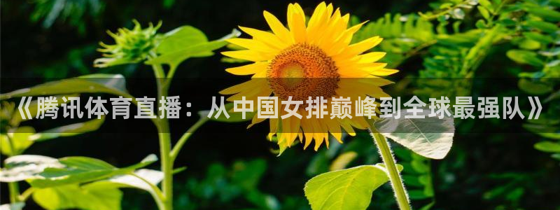 《腾讯体育直播：从中国女排巅峰到全球最强队》