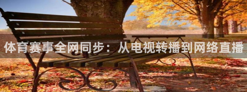 体育赛事全网同步：从电视转播到网络直播