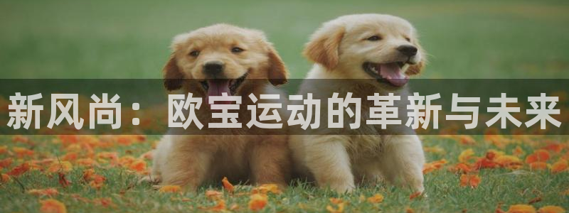 新风尚：欧宝运动的革新与未来
