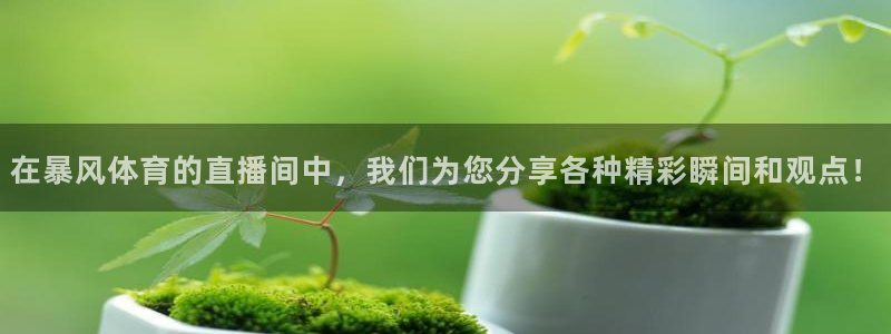 在暴风体育的直播间中，我们为您分享各种精彩瞬间和观点！