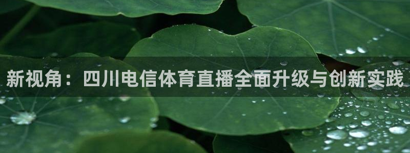 新视角：四川电信体育直播全面升级与创新实践
