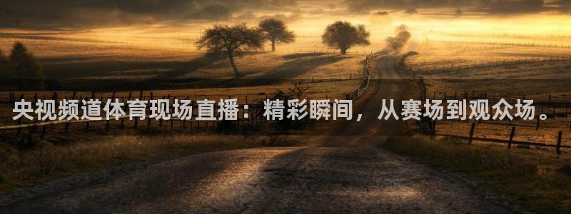 央视频道体育现场直播：精彩瞬间，从赛场到观众场。