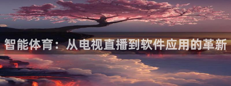 智能体育：从电视直播到软件应用的革新