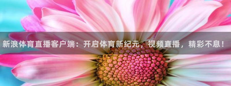 新浪体育直播客户端：开启体育新纪元，视频直播，精彩不息！