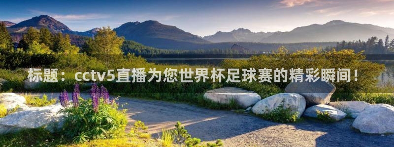 标题：cctv5直播为您世界杯足球赛的精彩瞬间！