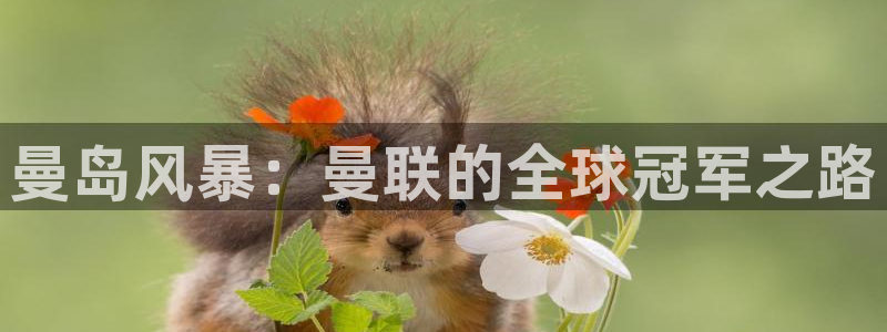 曼岛风暴：曼联的全球冠军之路