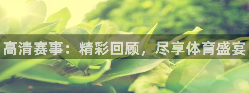 高清赛事：精彩回顾，尽享体育盛宴