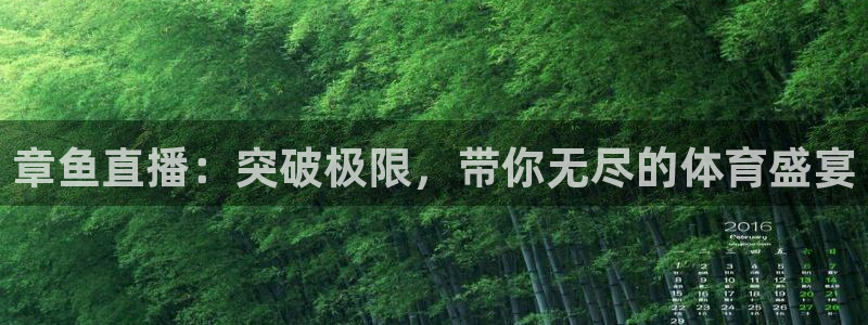 章鱼直播：突破极限，带你无尽的体育盛宴