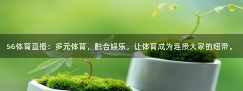 56体育直播：多元体育，融合娱乐，让体育成为连接大家的纽带。