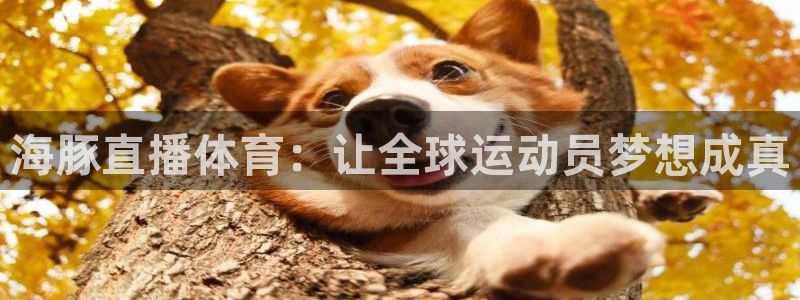 海豚直播体育：让全球运动员梦想成真
