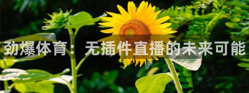 劲爆体育：无插件直播的未来可能