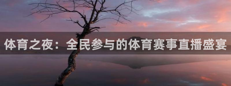 体育之夜：全民参与的体育赛事直播盛宴