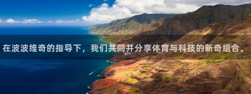 在波波维奇的指导下，我们共同并分享体育与科技的新奇组合。