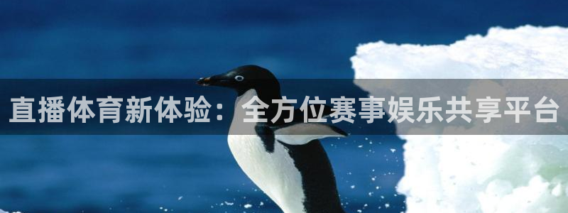 直播体育新体验：全方位赛事娱乐共享平台