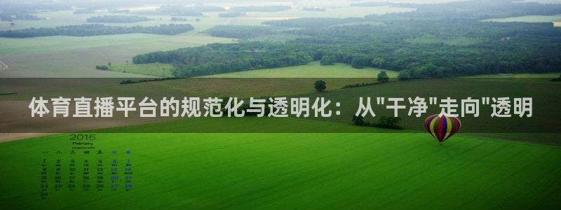 体育直播平台的规范化与透明化：从\