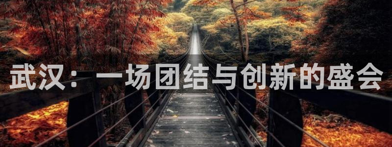 武汉：一场团结与创新的盛会