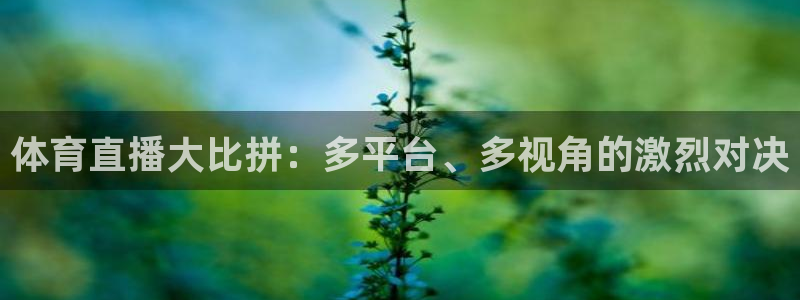 体育直播大比拼：多平台、多视角的激烈对决