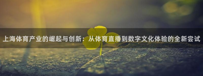 上海体育产业的崛起与创新：从体育直播到数字文化体验的全新尝试