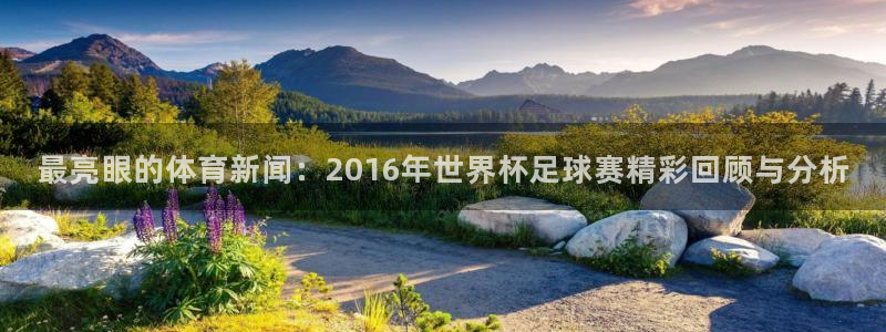 最亮眼的体育新闻：2016年世界杯足球赛精彩回顾与分析
